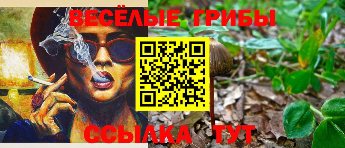 Псилоцибиновые грибы Cubensis Буйнакск